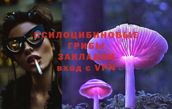 дмт Алексин