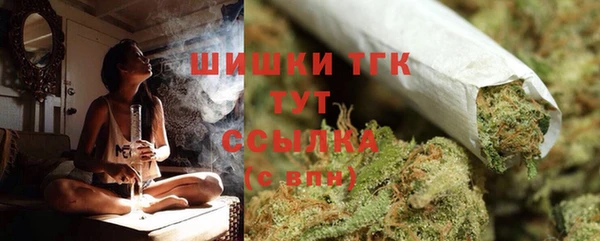 прущие грибы Алексеевка